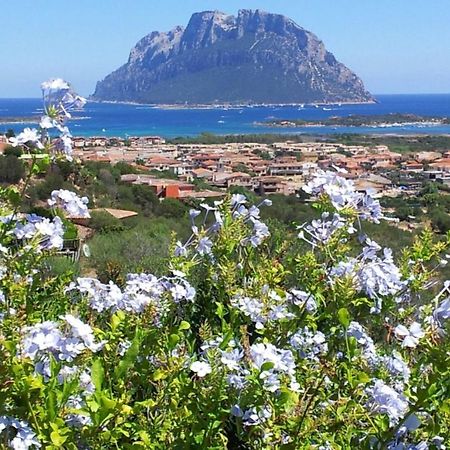 Le Case Del Mare Porto San Paolo  Zewnętrze zdjęcie