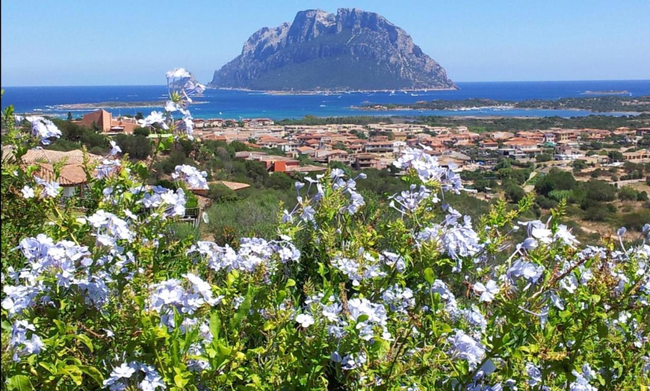 Le Case Del Mare Porto San Paolo  Zewnętrze zdjęcie