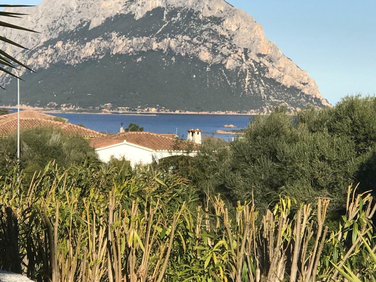 Le Case Del Mare Porto San Paolo  Zewnętrze zdjęcie