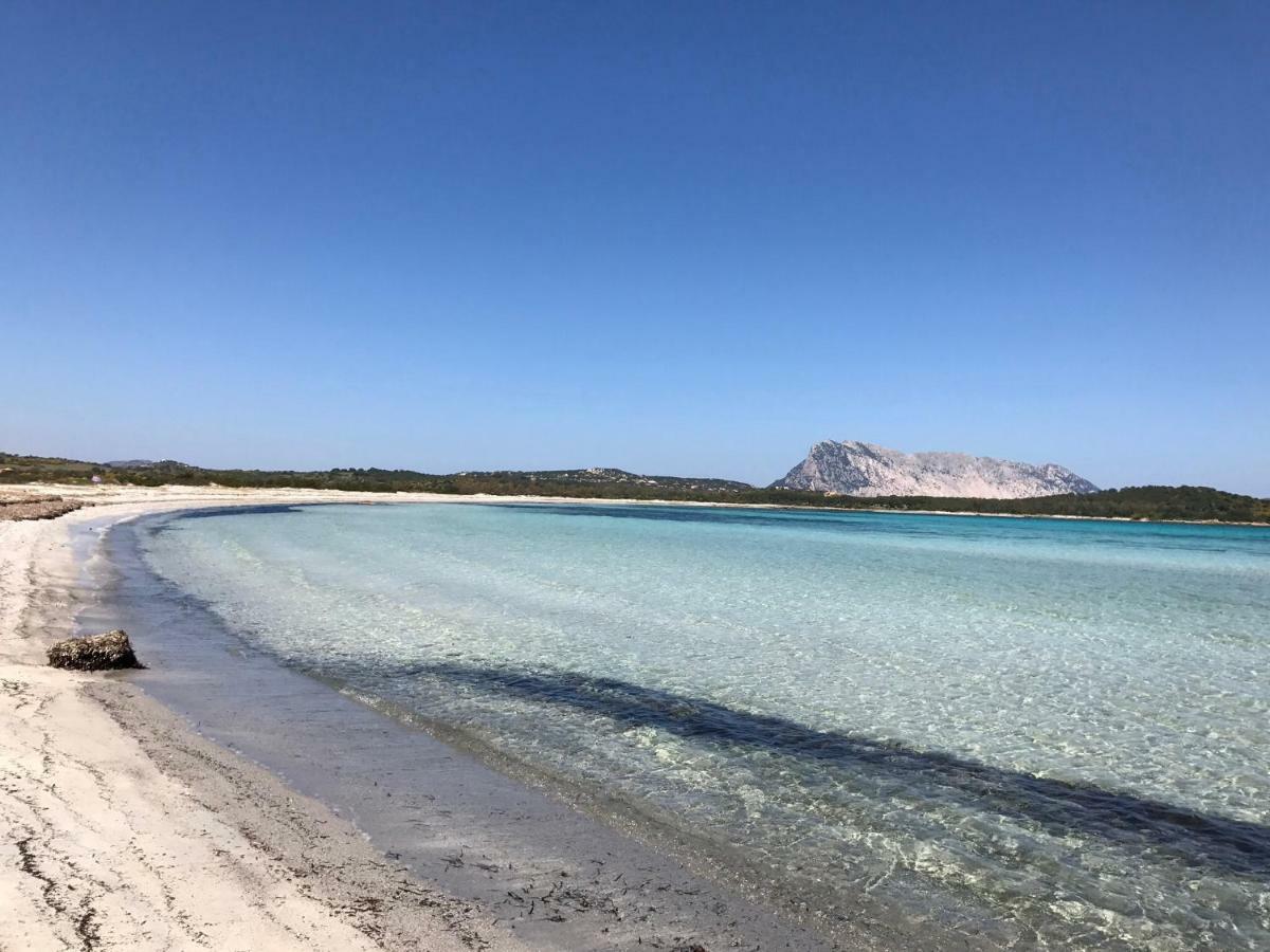 Le Case Del Mare Porto San Paolo  Zewnętrze zdjęcie