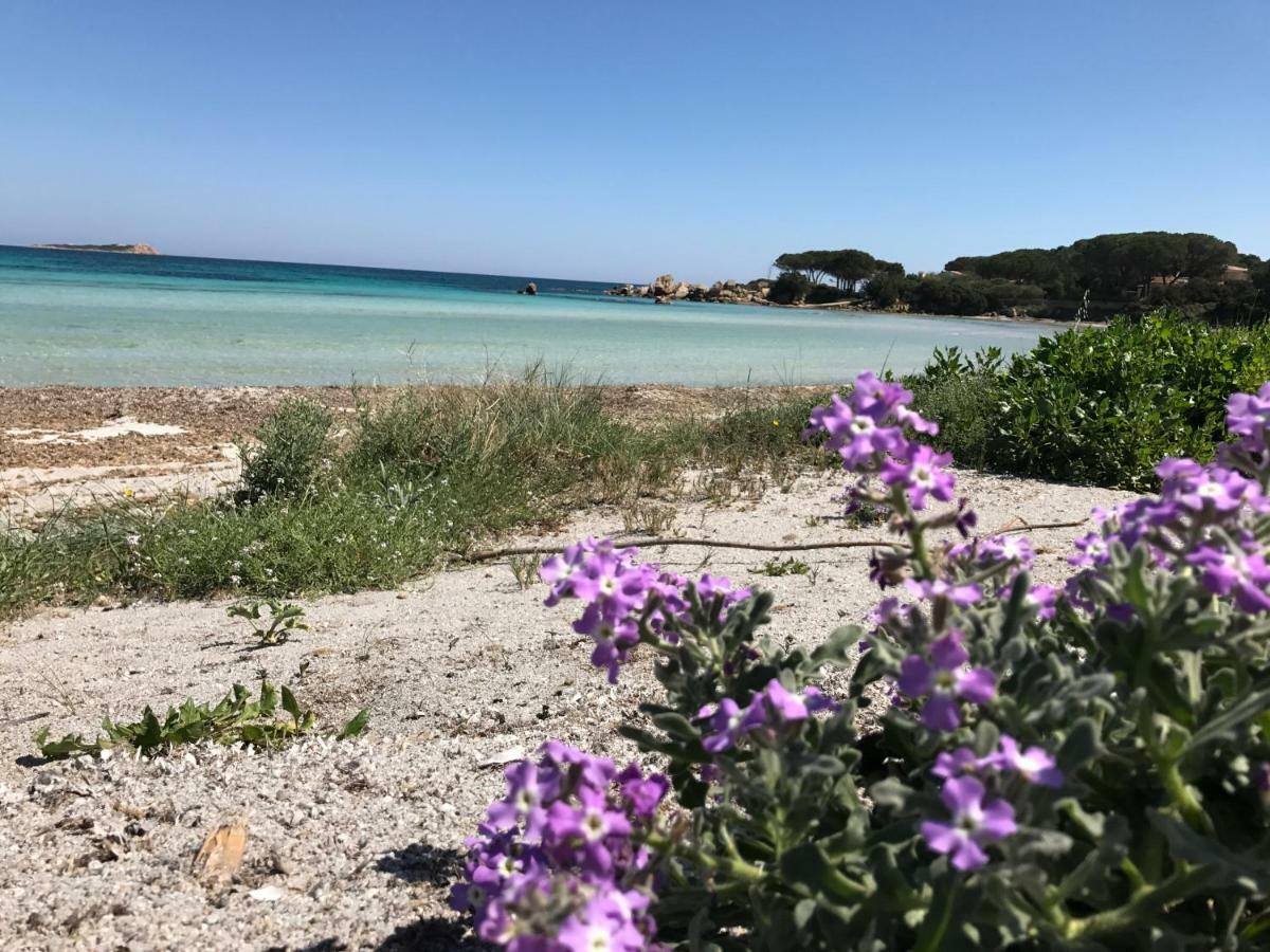 Le Case Del Mare Porto San Paolo  Zewnętrze zdjęcie